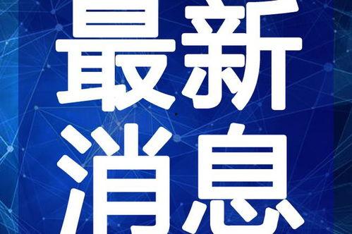 福建工厂爆料视频大全最新,揭秘真实生产现场与员工心声